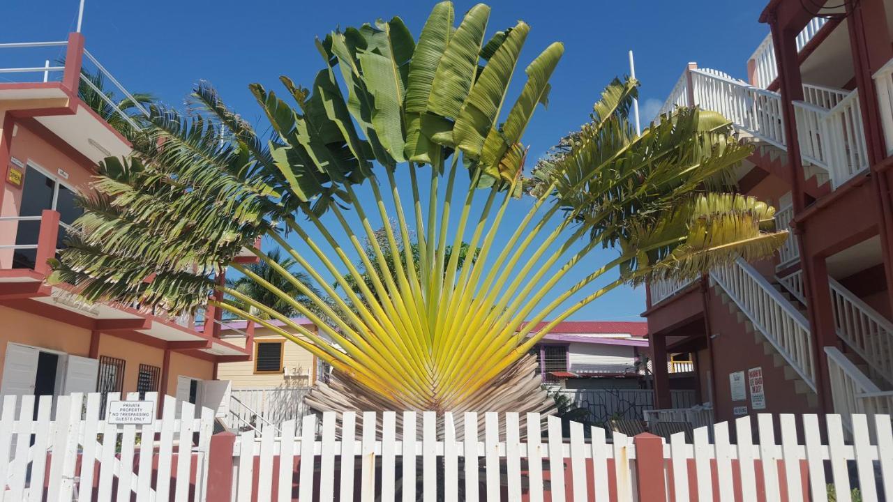 Caye Caulker Condos Kültér fotó