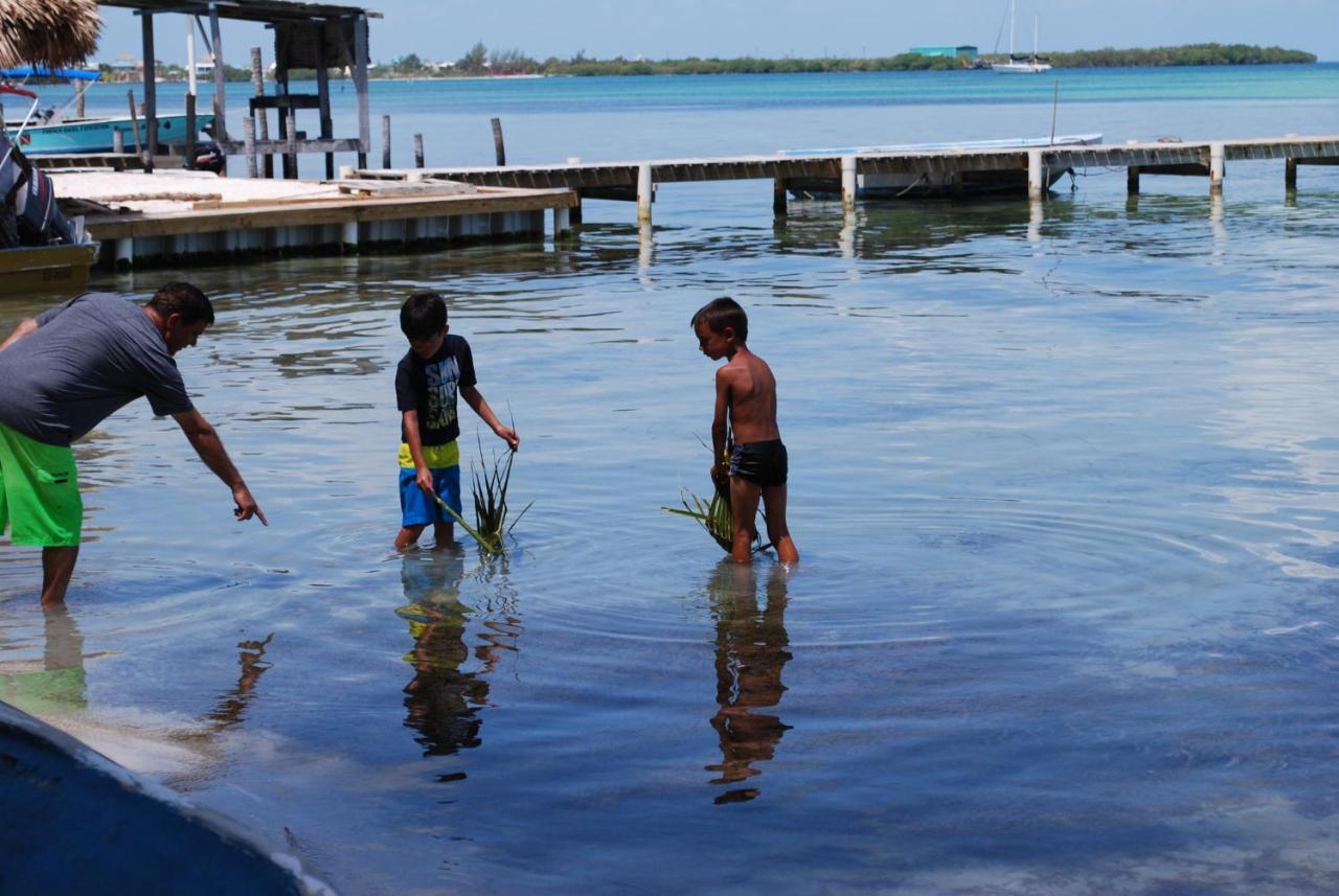 Caye Caulker Condos Kültér fotó
